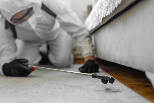 Professional Bed Bug Control technician working in Lehi, UT