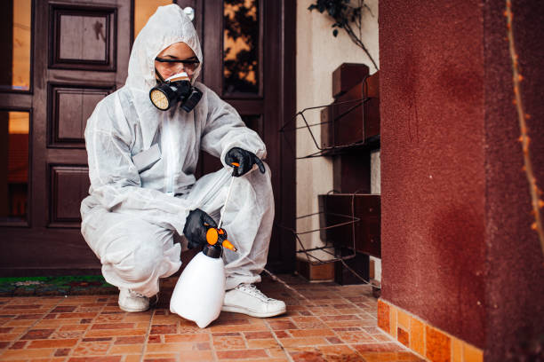 Reliable Bed Bug Control contractor in Lehi, UT by Nex Pest Control