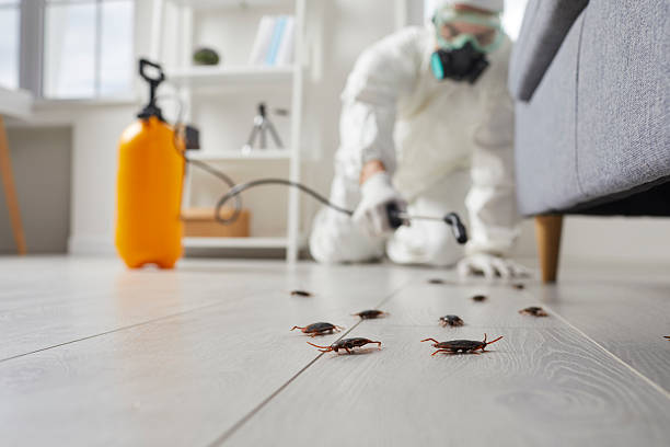 Trusted Cockroach Control service in Lehi, UT - Nex Pest Control