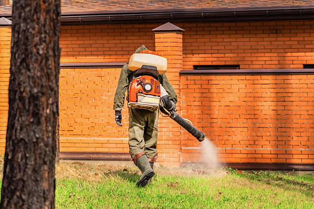 Trusted Termite Control service in Lehi, UT - Nex Pest Control